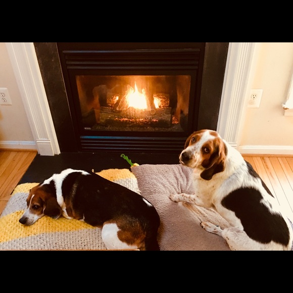 Meet your Posher, Toni - Picture 5 of 8